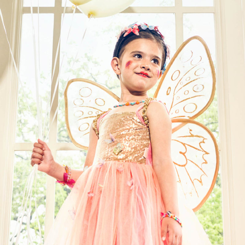 Butterfly Fairy Dress With Wings