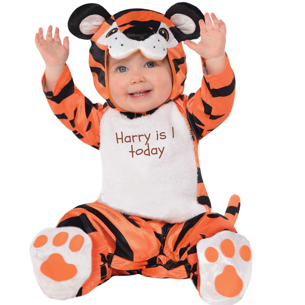 Baby's Tiger costume. Bodysuit with character hood. Personalised with baby's name