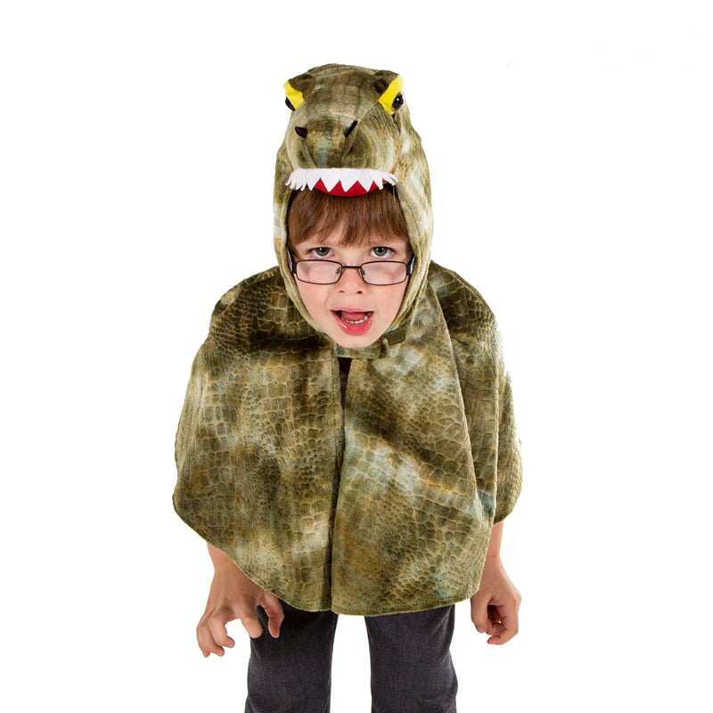Children's Crocodile Costume -Fancy Dress Cape , Children's Costume - Pretend to Bee, Ayshea Elliott 3