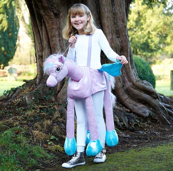 Children's Ride On Glide On Swan Costume- Personalised