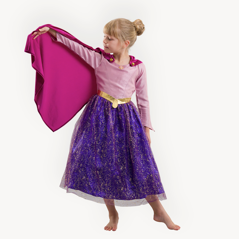 Sleeping Beauty Princess Dress