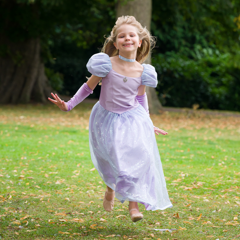 Cinderella Princess Dress