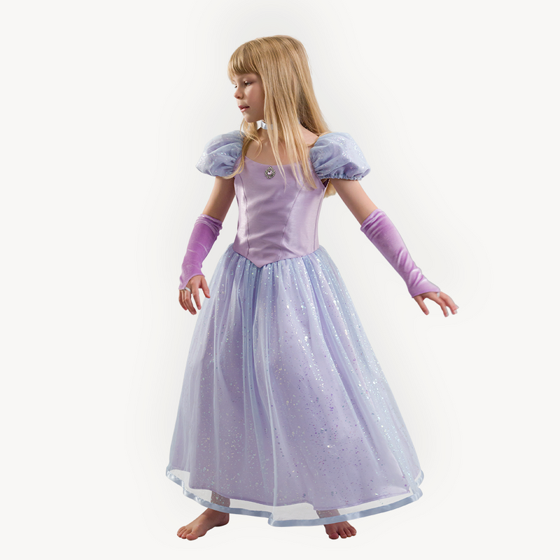 Cinderella Princess Dress