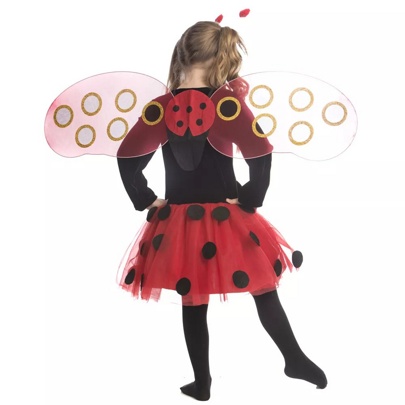 Ladybird Dress and Wings