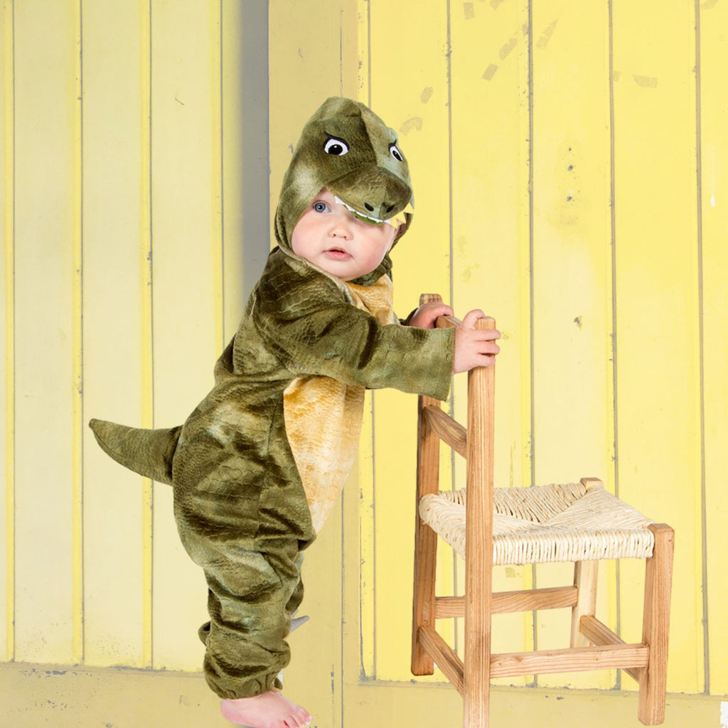 Baby T Rex Costume - Natural History Museum