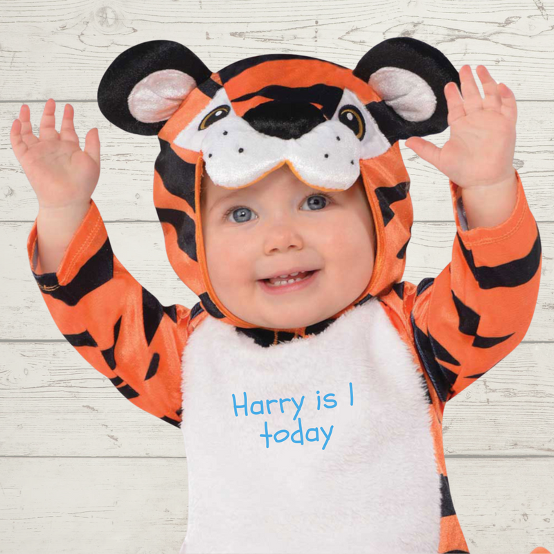 Personalised Baby Tiger Costume