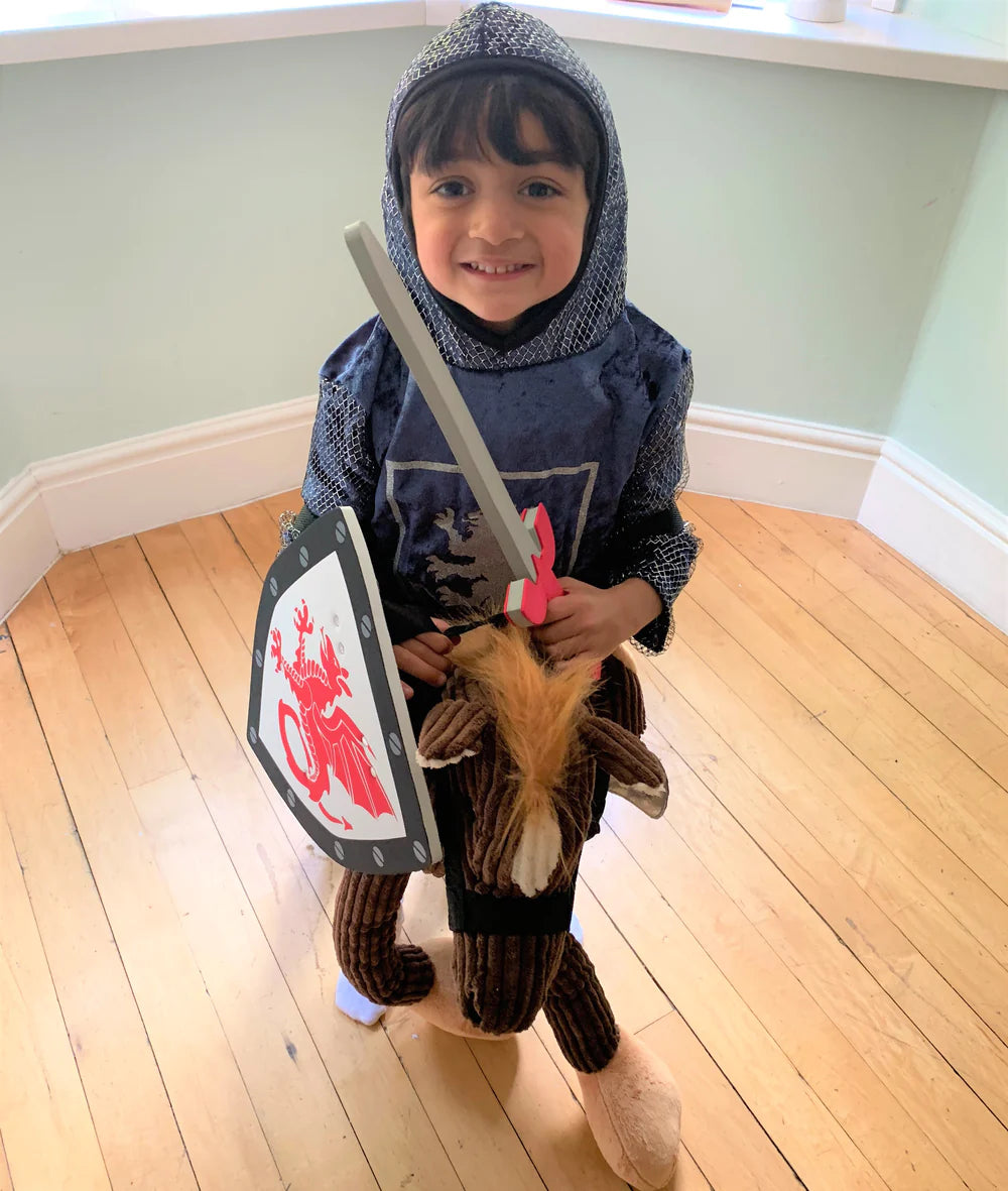 Knight fancy dress child best sale