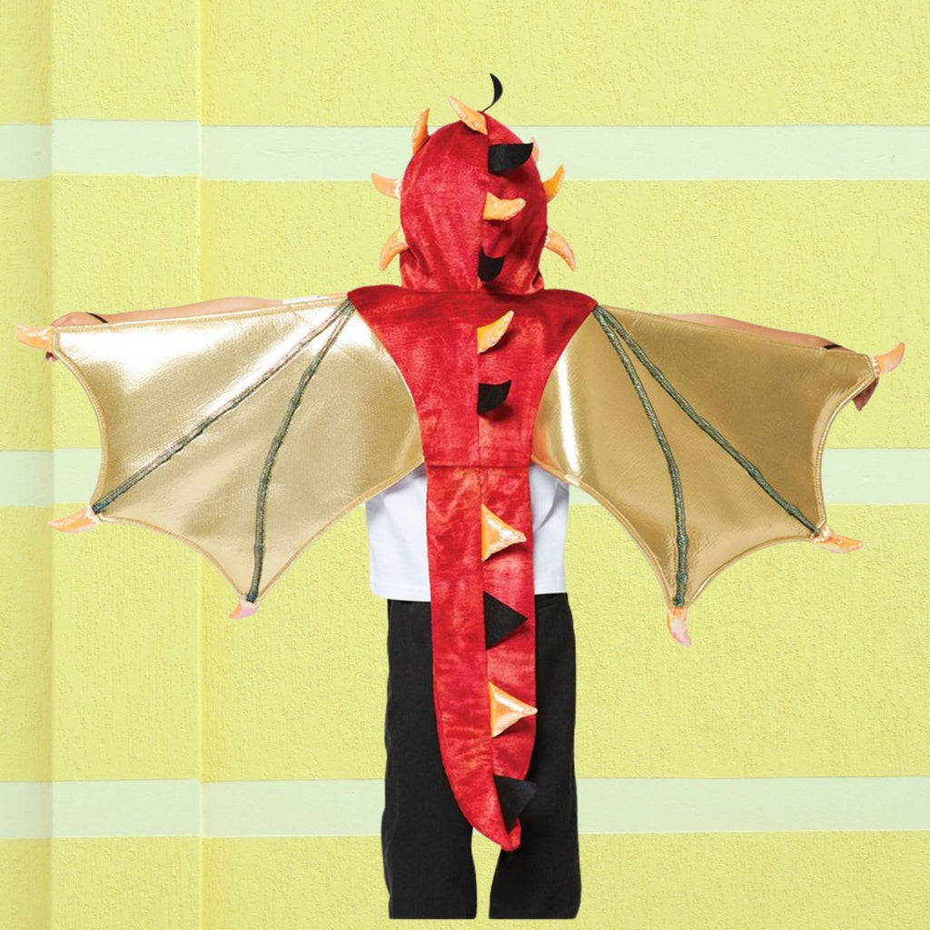 Children's Dragon Cape