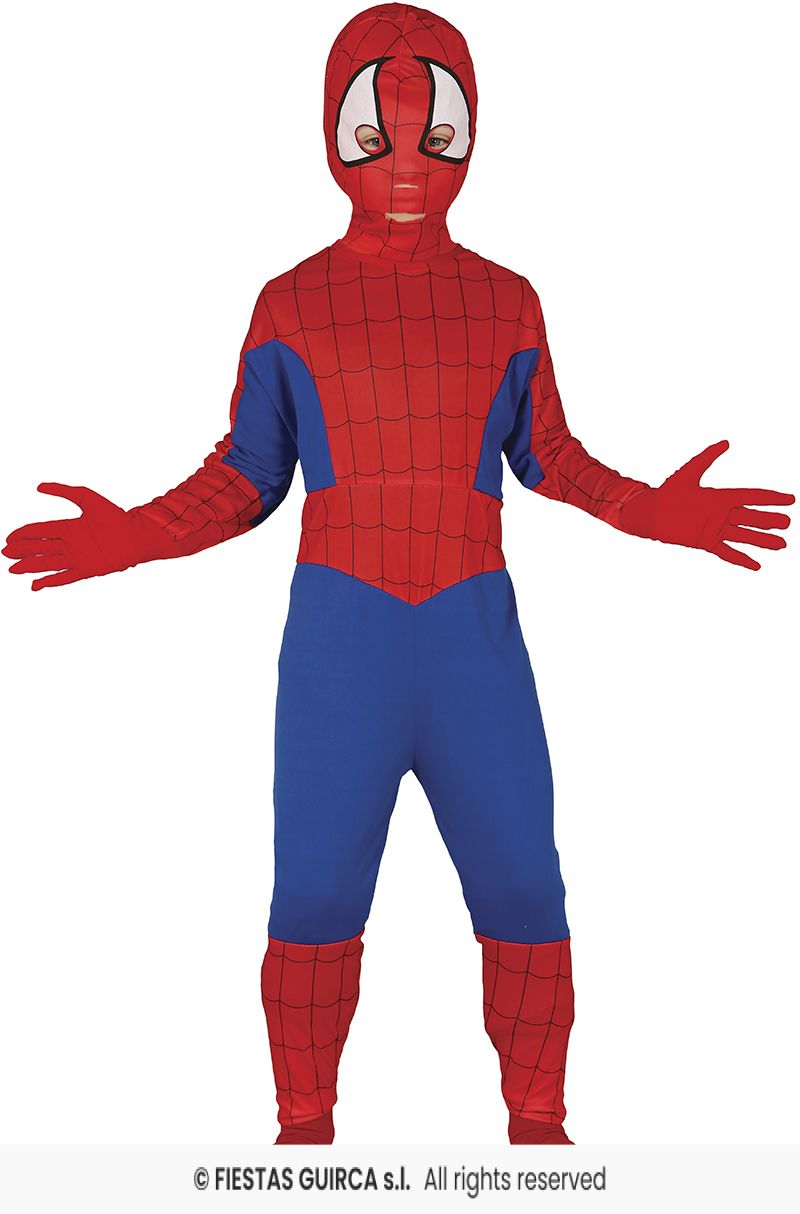 Child's Spider Boy costume