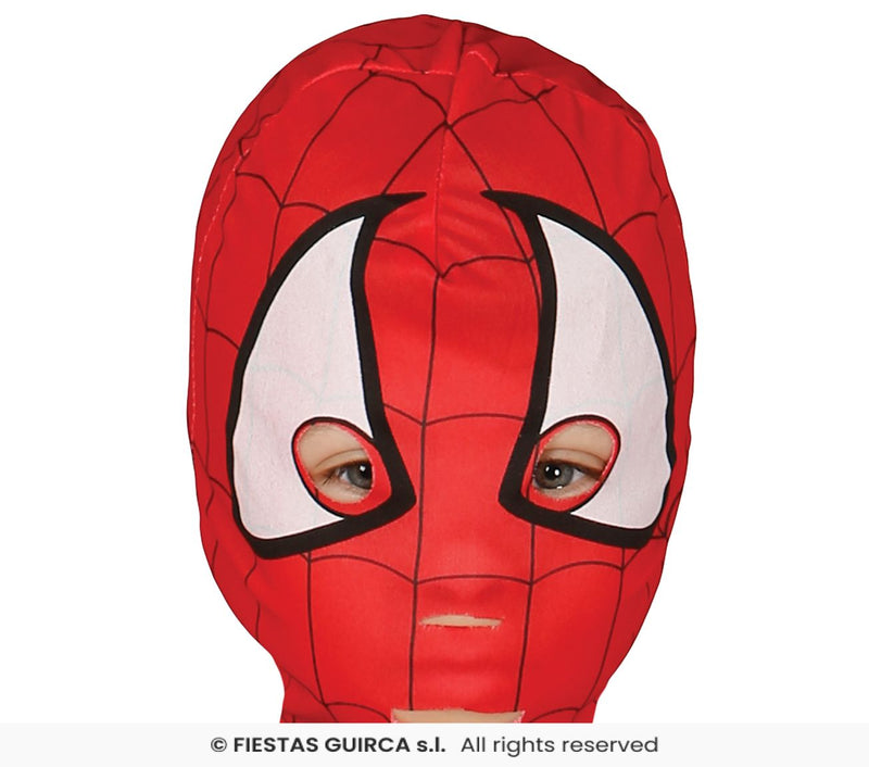Child's Spider Boy costume