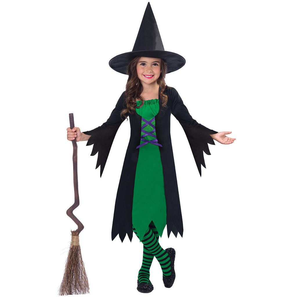 Wicked Witch Costume