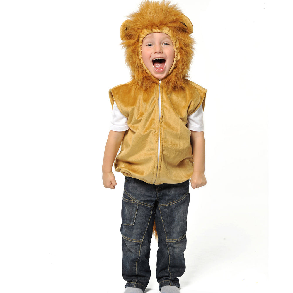 Childrens lion clearance fancy dress