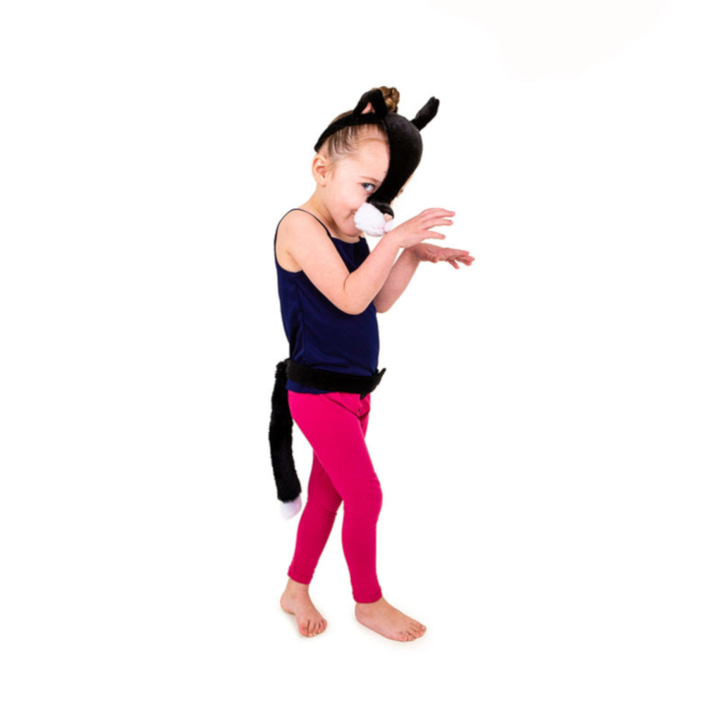 Cat Dressing Up Play Set
