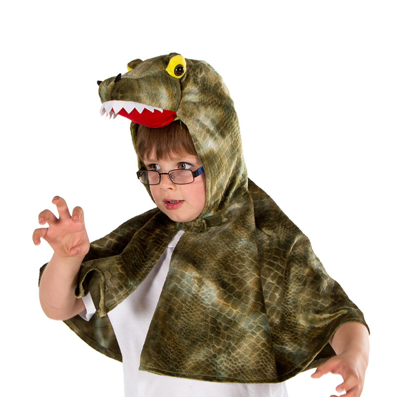 Children's Crocodile Costume -Fancy Dress Cape , Children's Costume - Pretend to Bee, Ayshea Elliott 2