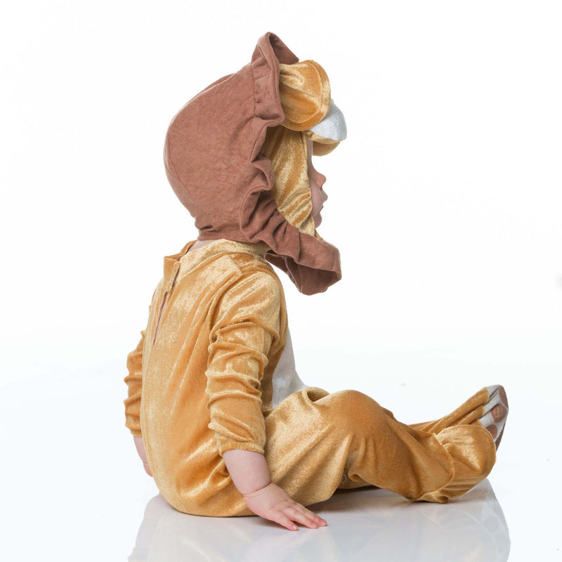 Lovable Lion - Baby Lion Costume , Baby Costume - In Character, Ayshea Elliott - 5