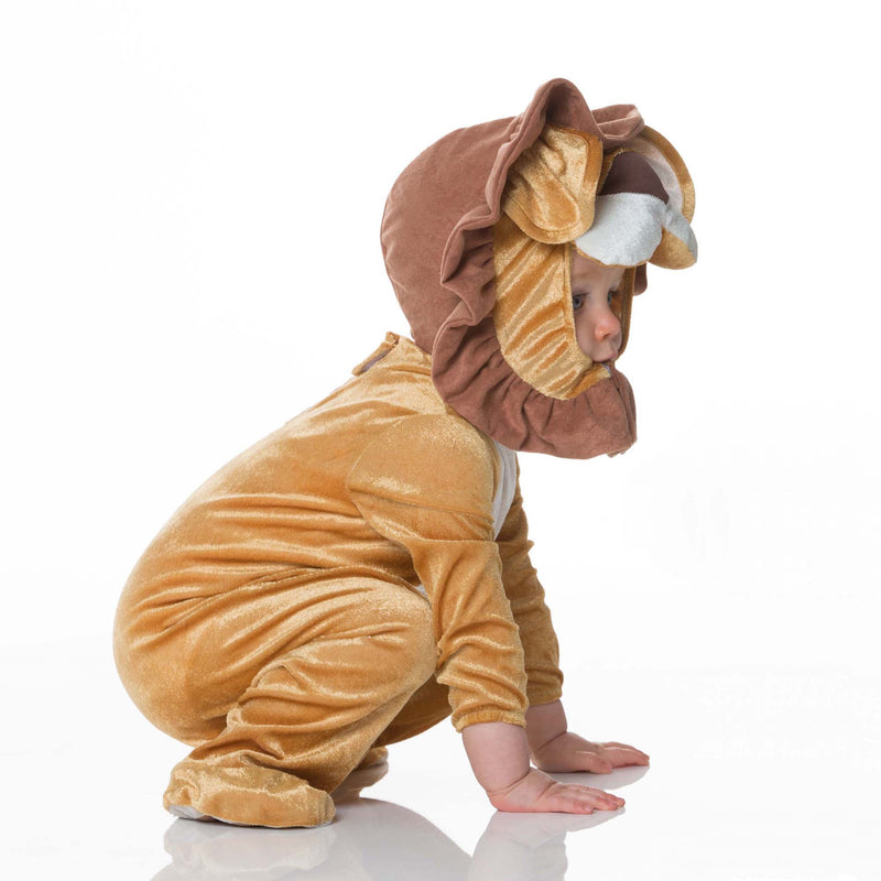 Lion Baby Fancy Dress Costume , Baby Costume - In Character, Ayshea Elliott - 6