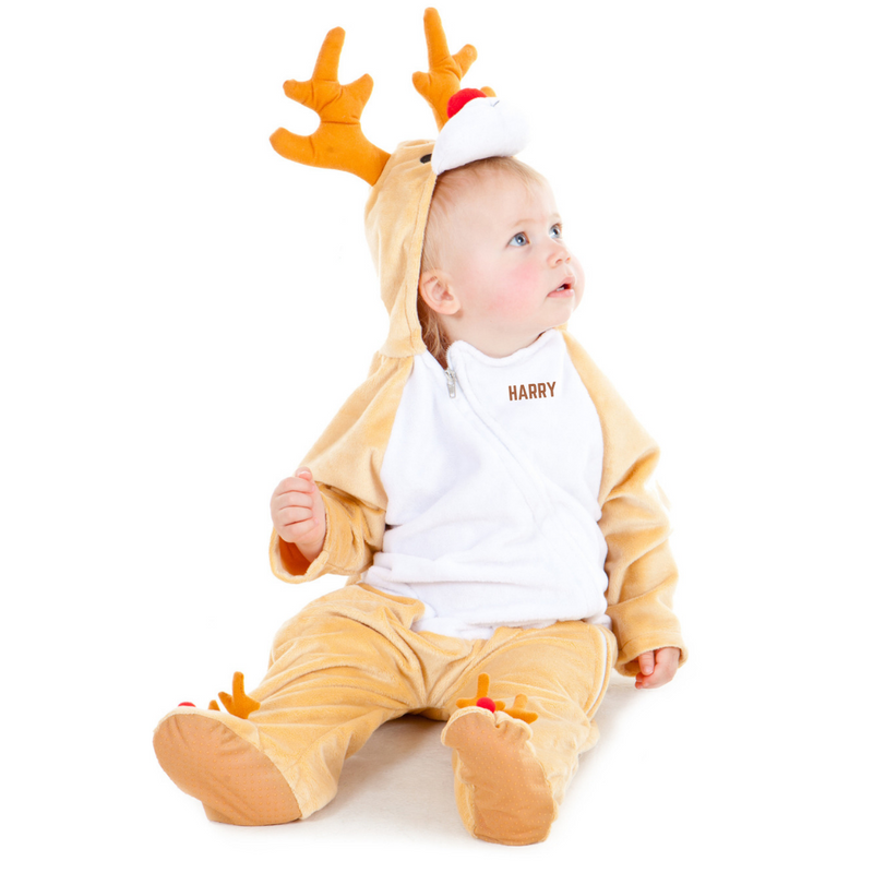Personalised Rudolph Reindeer Fancy Dress Costume Time to Dress Up