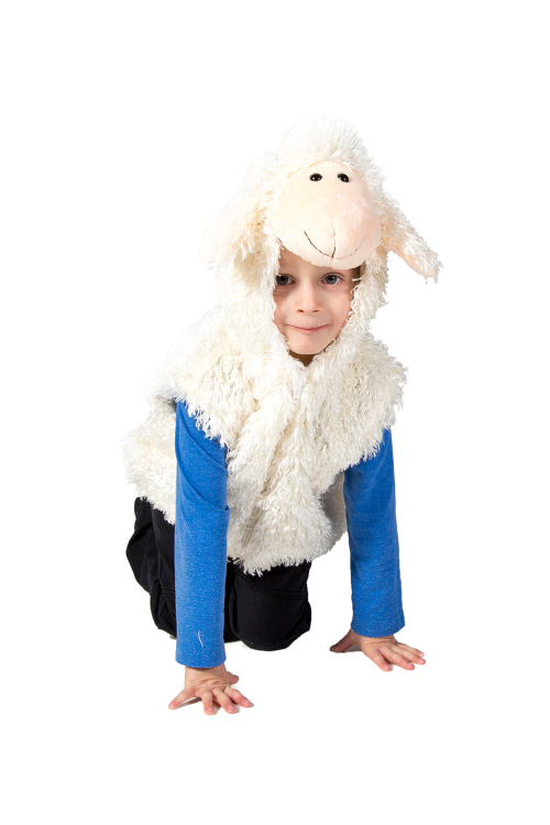 Children's Sheep Zip Top